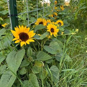 Meet your Posher, Roxanne Fletcher